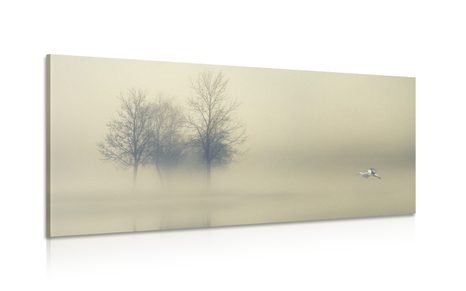 CANVAS PRINT TREES IN A FOG - PICTURES OF NATURE AND LANDSCAPE - PICTURES