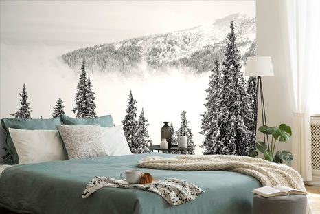 CARTA DA PARATI – ALBERI DI PINO INNEVATI BIANCO E NERO - CARTA DA PARATI BIANCO E NERO - CARTA DA PARATI