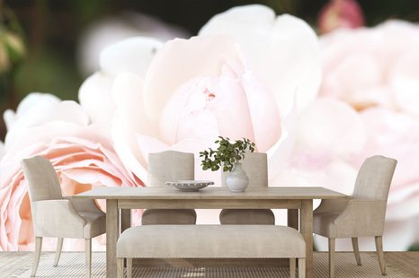 ΑΥΤΟΚΌΛΛΗΤΗ ΤΟΙΧΟΓΡΑΦΊΑ ΤΡΙΑΝΤΆΦΥΛΛΑ - ΑΥΤΟΚΌΛΛΗΤΕΣ ΤΑΠΕΤΣΑΡΊΕΣ - ΤΑΠΕΤΣΑΡΊΕΣ