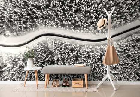 FOTOTAPETA POHLED NA ZIMNÍ ČERNOBÍLOU KRAJINU - ČERNOBÍLÉ TAPETY - TAPETY