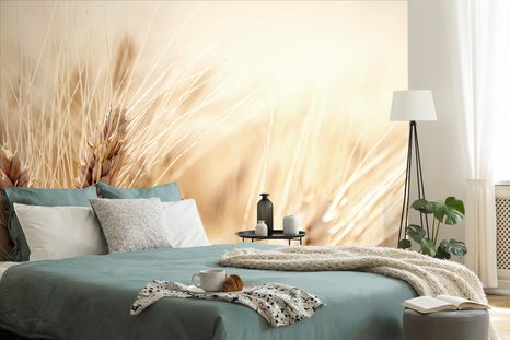 CARTA DA PARATI – CAMPO DI GRANO - CARTA DA PARATI NATURA - CARTA DA PARATI