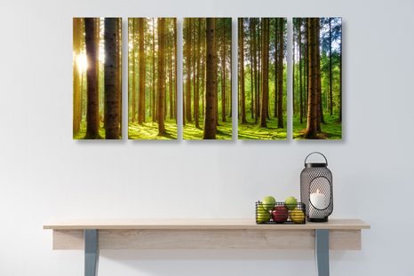 5-RÉSZES REGGEL AZ ERDŐBEN - TERMÉSZET- ÉS TÁJKÉPEK - KÉPEK