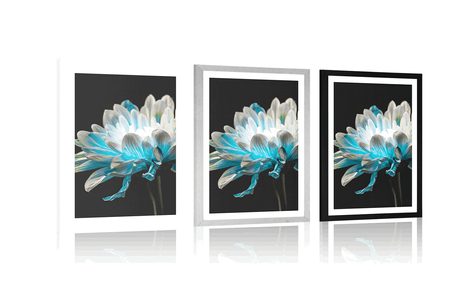 POSTER – MARGHERITA SU SFONDO NERO - FIORI - POSTER