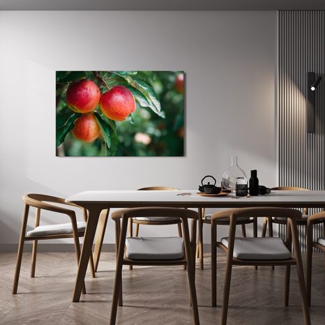 OBRAZ ČERSTVÉ JABLKA NA VĚTVI - OBRAZY JÍDLA A NÁPOJE - OBRAZY
