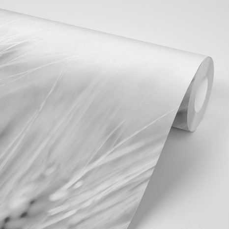 CARTA DA PARATI AUTOADESIVA – CAMPO DI GRANO IN BIANCO E NERO - CARTA DA PARATI AUTOADESIVE - CARTA DA PARATI