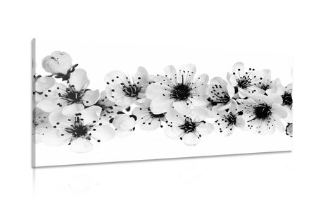 IMPRESSION SUR TOILE FLEURS DE CERISIER EN NOIR ET BLANC - IMPRESSIONS SUR TOILE NOIR ET BLANC - IMPRESSION SUR TOILE