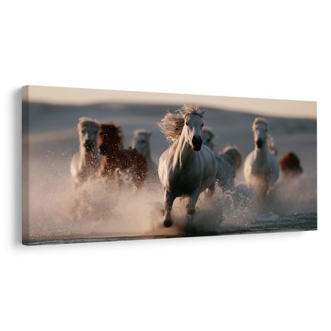 OBRAZ STÁDO KONÍ V BĚHU - PICTURES HORSES - PICTURES