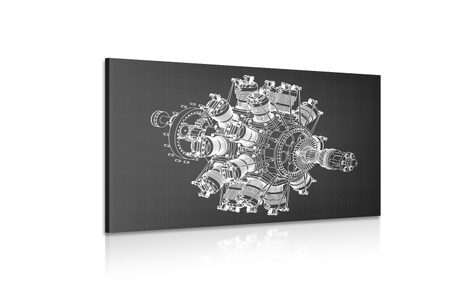 OBRAZ HVĚZDICOVÝ MOTOR - ČERNOBÍLÉ OBRAZY - OBRAZY