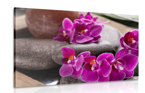 PICTURE OF A BEAUTIFUL ORCHID AND ZEN STONE