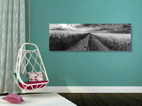 ΕΙΚΌΝΑ ΑΠΌ ΠΈΤΑΛΑ ΛΟΥΛΟΥΔΙΏΝ - ΠΊΝΑΚΕΣ ΑΣΠΡΌΜΑΥΡΕΣ - ΠΊΝΑΚΕΣ