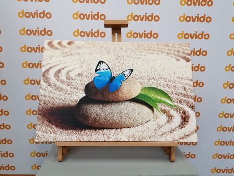 OBRAZ MODRÝ MOTÝL V ZEN ZAHRADĚ - OBRAZY FENG SHUI - OBRAZY