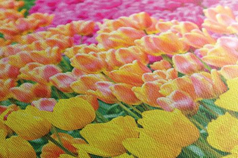 TABLOU LALELE MULTICOLORE - TABLOU FLORI - TABLOURI