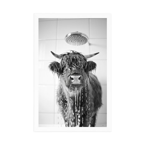 POSTER – MUCCA SOTTO LA DOCCIA - BUFALI E MUCCHE - POSTER