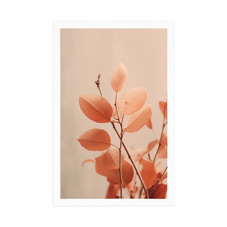 POSZTER ÁGAK LEVELEKKEL PEACH FUZZ - FÁKAT ÉS LEVELEKET ÁBRÁZOLÓ POSZTEREK - POSZTEREK