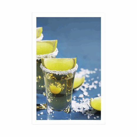 PLAGÁT MEXICKÁ TEQUILA - S KUCHYNSKÝM MOTÍVOM - PLAGÁTY