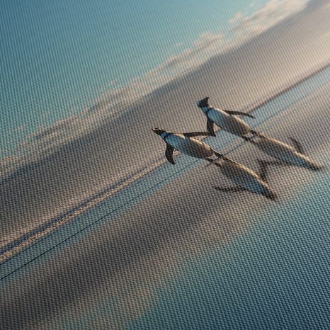 OBRAZ TUČŇÁCI V ZIMNÍ KRAJINĚ - OBRAZY MOŘE A PLÁŽ - OBRAZY