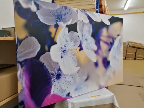 OBRAZ KWITNĄCA GAŁĄZKA WIŚNI - OBRAZY KWIATÓW - OBRAZY