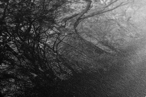 WANDBILD WALD IN SCHWARZ-WEISS - SCHWARZ-WEISSE BILDER - BILDER