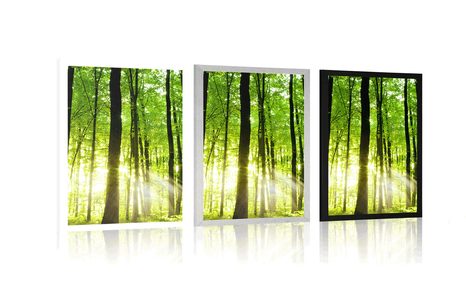 PLAGÁT SVIEŽI ZELENÝ LES - PRÍRODA - PLAGÁTY