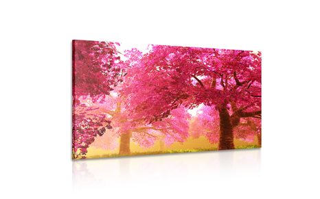 OBRAZ MAGICZNE DRZEWA KWITNĄCEJ WIŚNI - OBRAZY PRZYRODY I KRAJOBRAZY - OBRAZY