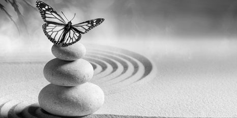 STAMPA SU TELA – EQUILIBRIO DI PIETRE E FARFALLA IN BIANCO E NERO - QUADRI BIANCO E NERO - STAMPE E QUADRI