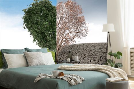 TAPETA STROM VE DVOU PODOBÁCH - TAPETY PŘÍRODA - TAPETY