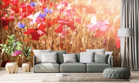 ΑΥΤΟΚΌΛΛΗΤΗ ΤΟΙΧΟΓΡΑΦΊΑ ΗΛΙΌΛΟΥΣΤΗ ΠΑΠΑΡΟΎΝΑ - ΑΥΤΟΚΌΛΛΗΤΕΣ ΤΑΠΕΤΣΑΡΊΕΣ - ΤΑΠΕΤΣΑΡΊΕΣ