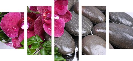 5-DÍLNÝ OBRAZ KVETOUCÍ ORCHIDEJ A WELLNESS KAMENY - OBRAZY FENG SHUI - OBRAZY
