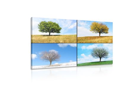 OBRAZ STROM V ROČNÝCH OBDOBIACH - OBRAZY PRÍRODY A KRAJINY - OBRAZY