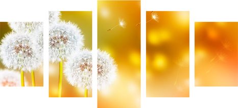 5-DELNA SLIKA PUHASTA REGRATOVA LUČKA - SLIKE ROŽ - SLIKE