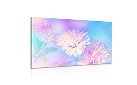WANDBILD CHRYSANTHEME - BILDER BLUMEN - BILDER