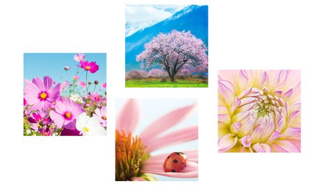 SET TABLOURI ÎN BRAȚELE NATURII - COMPOZIȚIE DE TABLOURI - TABLOURI