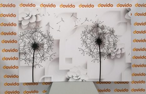 TABLOU MODERN PĂPĂDIE - TABLOURI ALB-NEGRU - TABLOURI