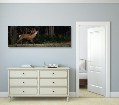 TABLOU CERBUL MAIESTUOS - TABLOURI ANIMALE - TABLOURI