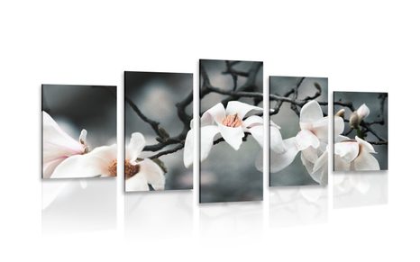 QUADRO IN 5 PARTI MAGNOLIA CHE FIORISCE - QUADRI DI FIORI - QUADRI