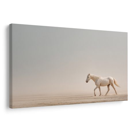 OBRAZ BÍLÝ KŮŇ V POUŠTI - OBRAZY KONĚ - OBRAZY