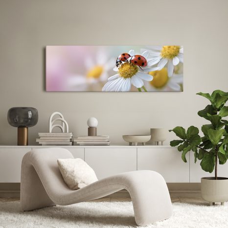 WANDBILD LEBENDIGE NATUR - BILDER TIERE - BILDER