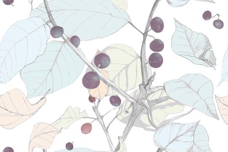 SAMOLEPÍCÍ TAPETA BOBULE ANGREŠT - SAMOLEPÍCÍ TAPETY - TAPETY