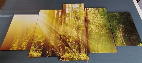 QUADRI 5 PEZZI – RAGGI DI SOLE NELLA FORESTA - QUADRI DI NATURA E PAESAGGIO - STAMPE E QUADRI