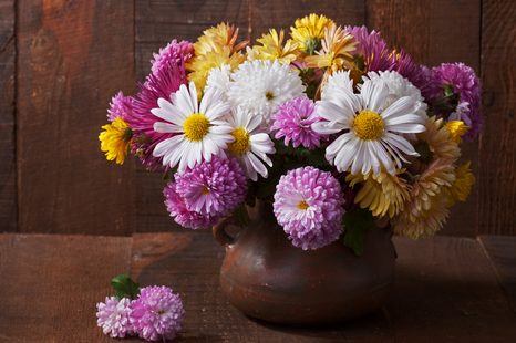 SLIKA MRTVA PRIRODA S JESENSKIM KRIZANTEMAMA - SLIKE CVIJEĆA - SLIKE