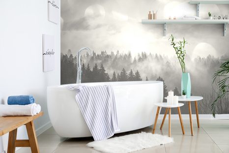 FOTOTAPETA ČERNOBÍLÁ MLHA NAD LESEM - ČERNOBÍLÉ TAPETY - TAPETY