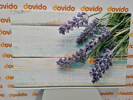 OBRAZ LEVANDULE NA DŘEVĚNÉM POZADÍ - OBRAZY KVĚTŮ - OBRAZY