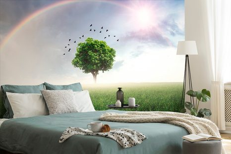 TAPETA OSAMĚLÝ STROM NA LOUCE - TAPETY PŘÍRODA - TAPETY