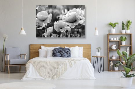 PIPACSOK A RÉTEN FEKETE FEHÉRBEN - FEKETE-FEHÉR KÉPEK - KÉPEK