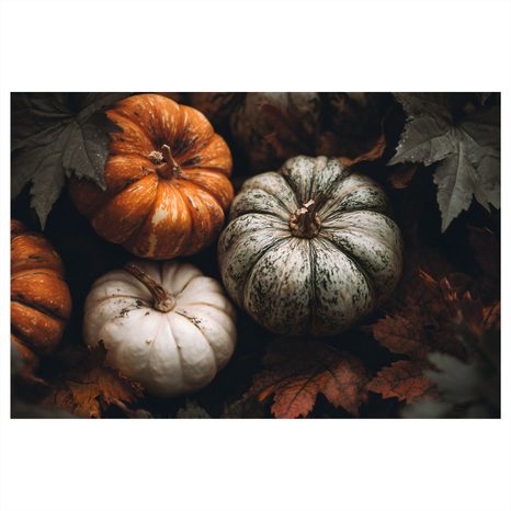 CANVAS SCHILDERIJ HERFSTKLEURIGE POMPOENEN - STILLEVEN SCHILDERIJEN - SCHILDERIJEN