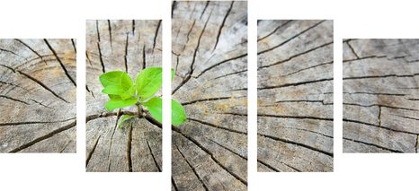 TABLOU 5-PIESE NAȘTERIE UNEI NOI VIEȚI - TABLOURI CU COLȚURI DE LINIȘTITE - TABLOURI