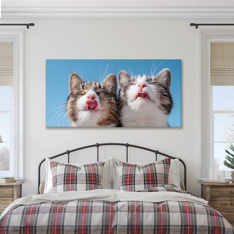 OBRAZ ROZVERNÉ KOČIČÍ DUO V DETAILU - OBRAZY KOČKY - OBRAZY