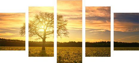 5 RÉSZES KÉP MAGÁNYOS FA - FÁKAT ÉS LEVELEKET ÁBRÁZOLÓ KÉPEK - KÉPEK