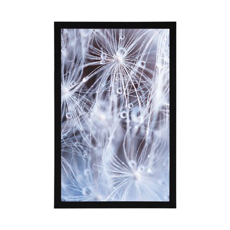 PLAGÁT MAKRO PÚPAVA - KVETY - PLAGÁTY