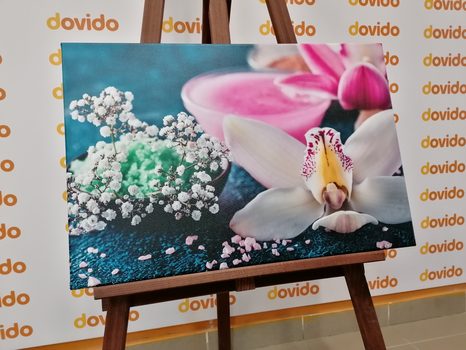 TABLOU DETALIU INEDIT AL ORHIDEII - TABLOU FLORI - TABLOURI